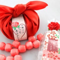 母の日 プレゼント　私の気持ち~カーネーションキャンディーセット【送料無料】